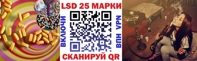 mega ссылки  Шенкурск  ЛСД экстази ecstasy 