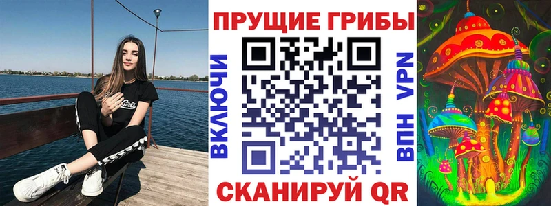 сколько стоит  Шенкурск  Псилоцибиновые грибы Psilocybine cubensis 